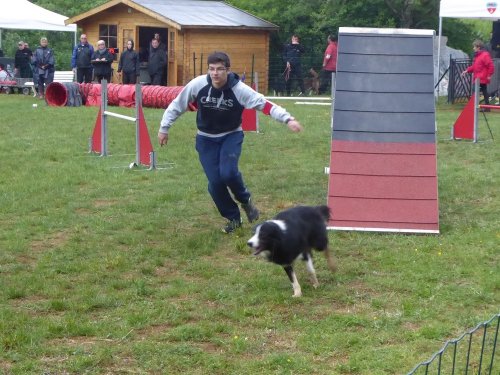 Concours d'agility, Messigny Vantoux, 12 et 13 mai 2018