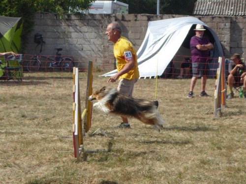 Concours d'agility, Autun, 9 septembre 2018