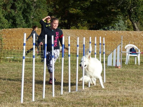 Concours d'agility de Fontaines, le 16 septembre 2018