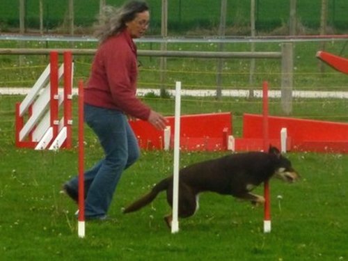 Concours d'agility, Barges, 16 avril 2017