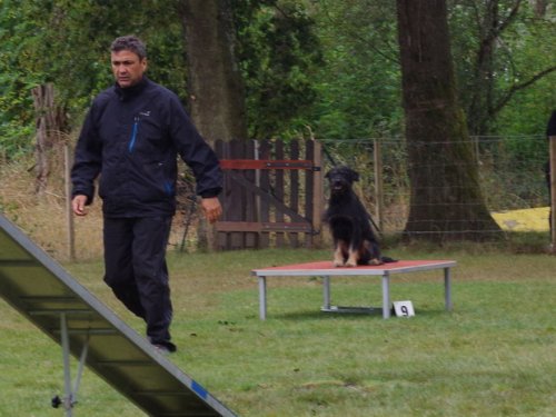 CAESC et Pass-agility Fontaines 17 septembre 2016