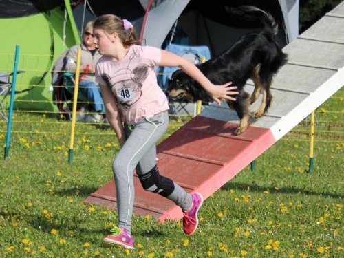 Premier concours d'agility de Fontaines, le 12 avril 2015