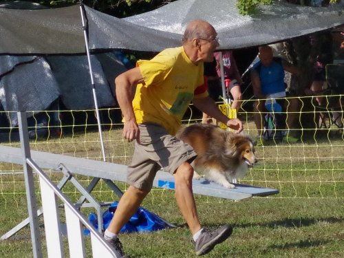 Concours d'agility, Fontaines, 9 et 10 septembre 2023