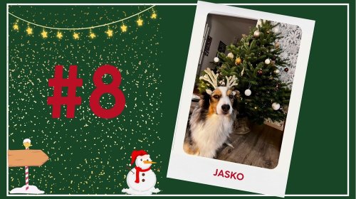 Concours photos 2024 : sur le thème de Noël