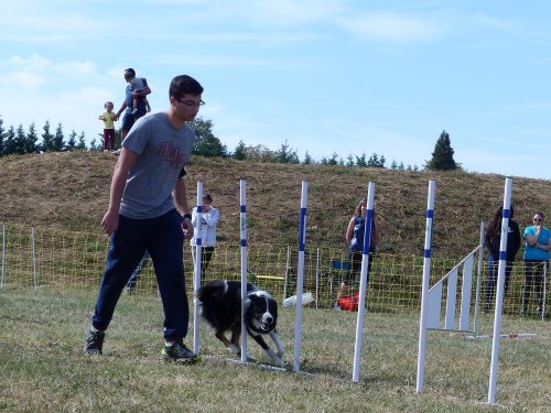 Concours d'agility de Fontaines, le 16 septembre 2018