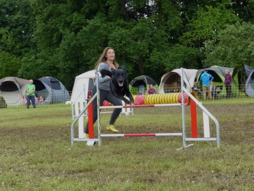 Concours d'agility de Fontaines, le 29 mai 2016