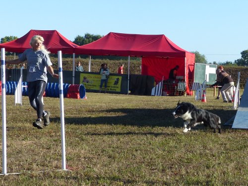 Concours d'agility, Fontaines 11 septembre 2022