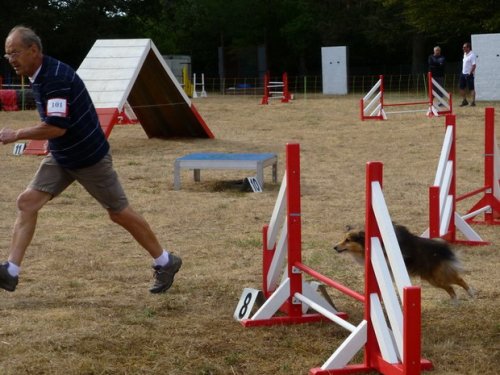Concours d'agility, Nuits Saint Georges, 26 juillet 2015