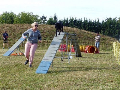 Concours d'agility de Fontaines, le 16 septembre 2018