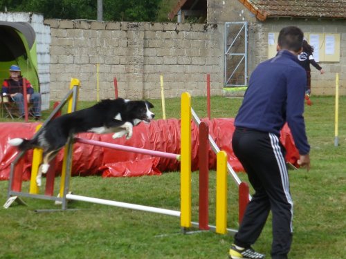 Concours d'agility, Autun, 10 septembre 2017