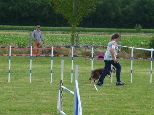 Concours d'agility, Sainte Marie la Blanche, 23 juillet 2017