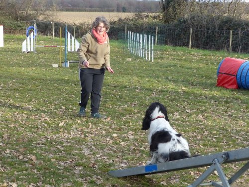 Agility loisir, 18 février 2023