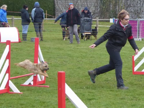 Concours d'agility, Barges, 1 avril 2018