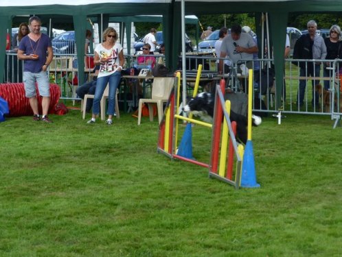 Concours d'agility, Autun, 14 septembre 2014