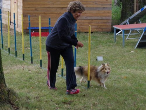 CAESC et Pass-agility Fontaines 17 septembre 2016