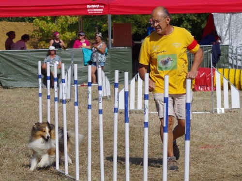 Concours d'agility de Fontaines, le 15 septembre 2019