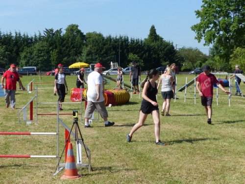 Concours d'agility de Fontaines, le 28 mai 2017