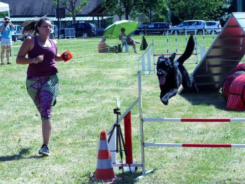 Concours d'agility de Fontaines, le 28 mai 2017