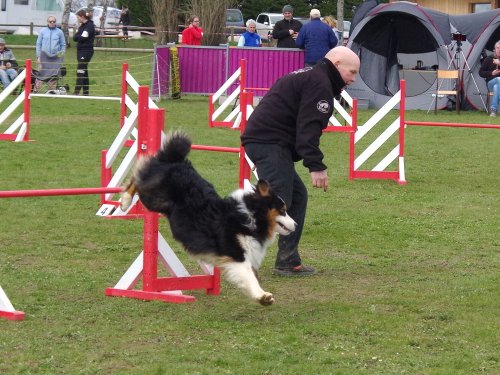 Concours d'agility, Barges, 1 avril 2018