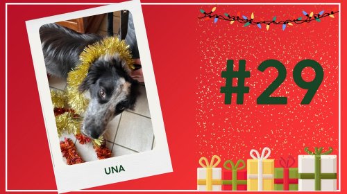 Concours photos 2024 : sur le thème de Noël