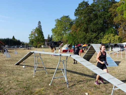 Concours d'agility de Fontaines, le 15 septembre 2019