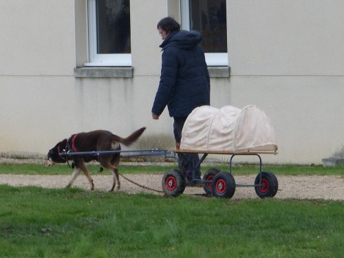 Démonstration au lycée agricole de Fontaines le 18 mars 2018