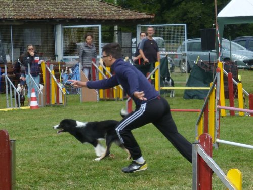 Concours d'agility, Autun, 10 septembre 2017