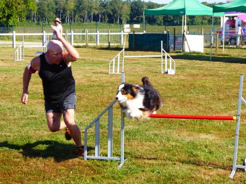 Concours d'agility, Montret, 29 juillet 2018