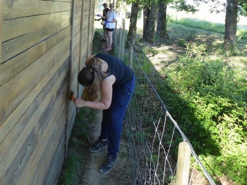 Journée travaux du 2 juin 2019