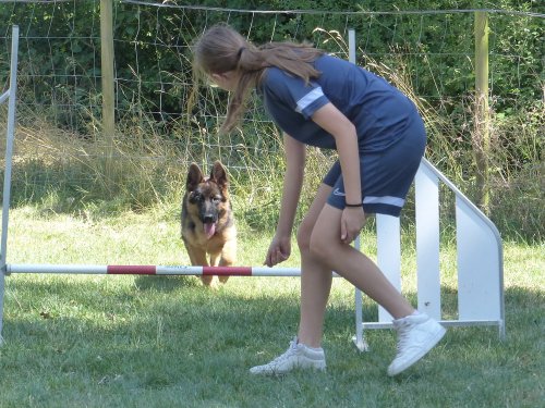 Initiation à l'agility, 19 juillet 2023