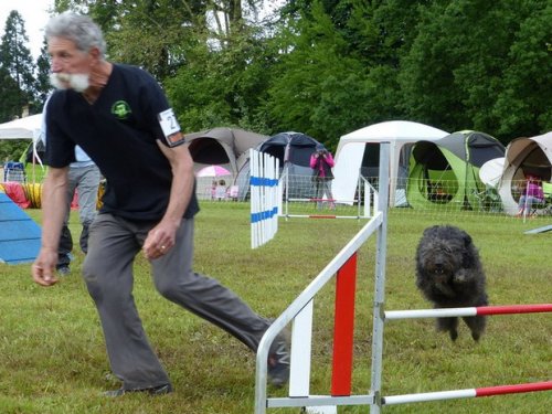 Concours d'agility de Fontaines, le 29 mai 2016