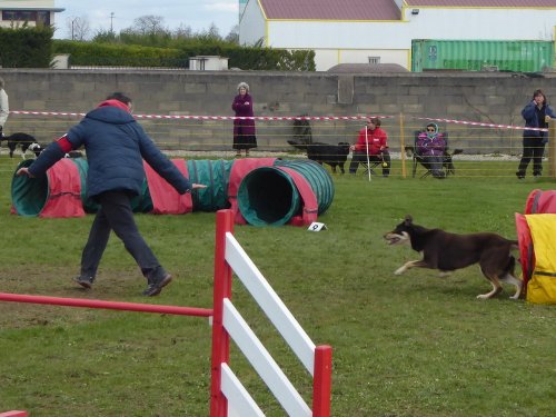 Concours d'agility, Barges, 1 avril 2018