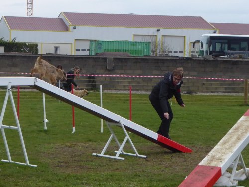 Concours d'agility, Barges, 1 avril 2018