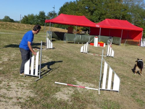 Concours d'agility de Fontaines, le 16 septembre 2018