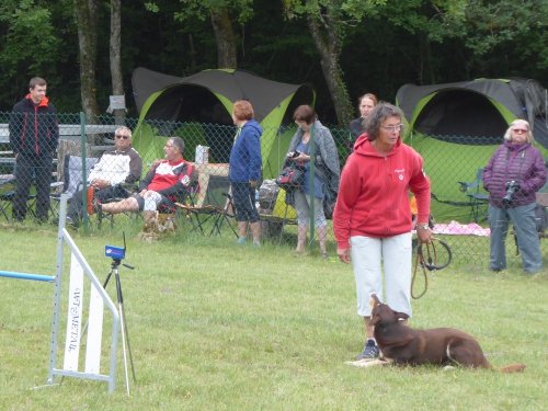 Concours d'agility, Daix, 17 juin 2018