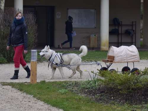 Démonstration au lycée agricole de Fontaines le 18 mars 2018