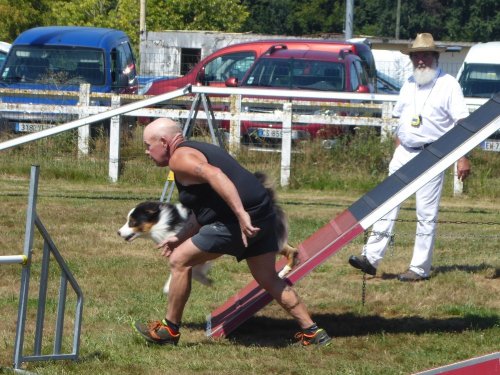 Concours d'agility, Montret, 29 juillet 2018