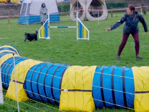 Concours d'agility, Barges, 31 mars 2024