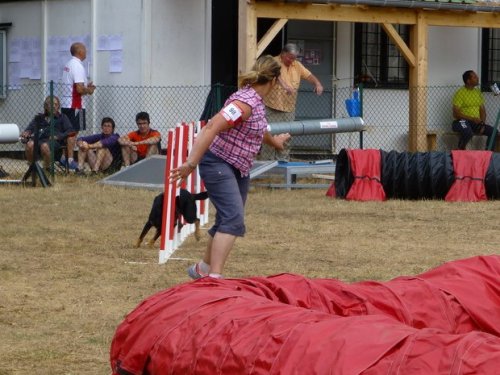 Concours d'agility, Nuits Saint Georges, 26 juillet 2015