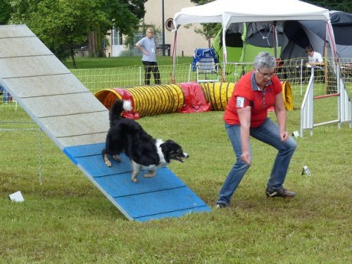 Concours d'agility de Fontaines, le 29 mai 2016