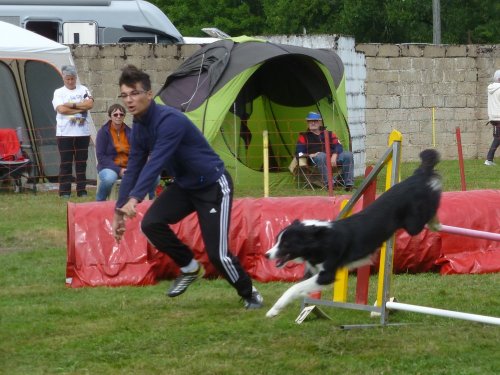 Concours d'agility, Autun, 10 septembre 2017