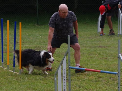 Concours d'agility, Daix, 17 juin 2018