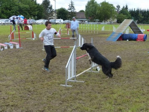 Concours d'agility de Fontaines, le 29 mai 2016