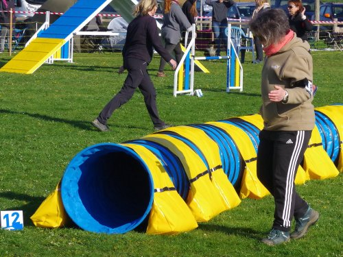 Concours d'agility, Barges, 9 avril 2023