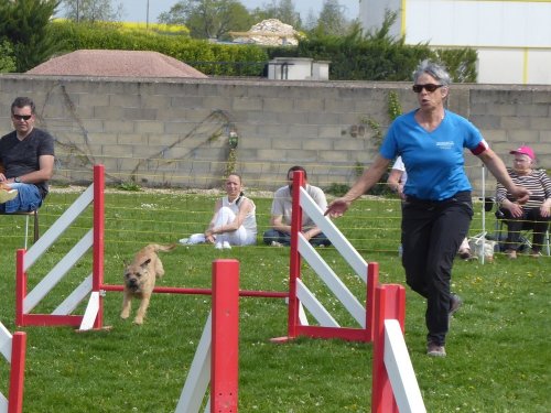 Concours d'agility, Barges, 21 avril 2019