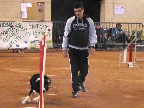 Concours d'agility en salle à la Nef au Creusot le 12 novembre 2017