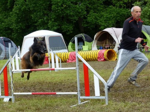 Concours d'agility de Fontaines, le 29 mai 2016