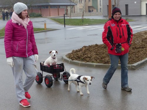 Démonstration au lycée agricole de Fontaines le 18 mars 2018