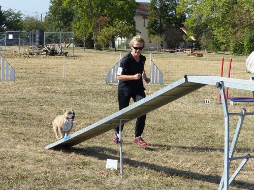 Concours d'agility de Fontaines, le 15 septembre 2019