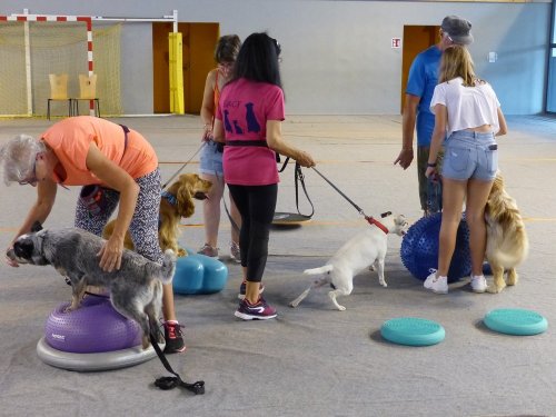 Forum des associations, 31 août 2019